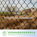 Farm Fence Mesh Exportateur maillon de maillage